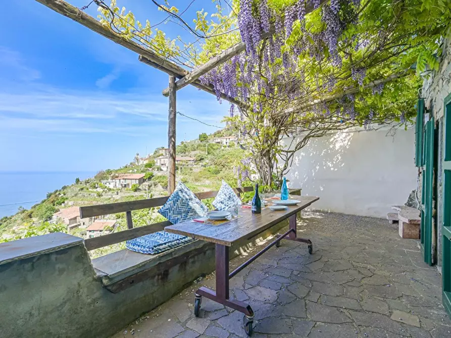 Immagine 26 di Casa colonica in vendita  a La Spezia