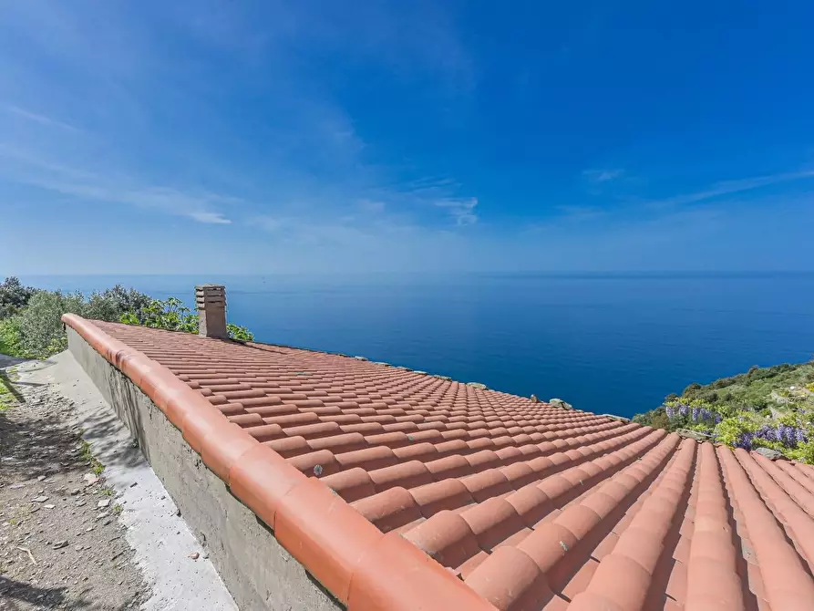 Immagine 30 di Casa colonica in vendita  a La Spezia