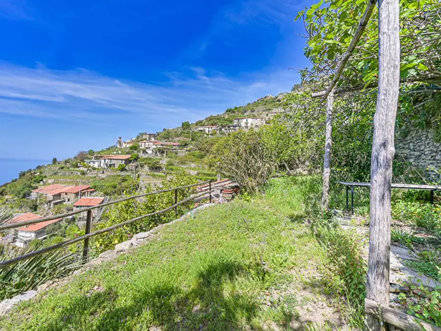 Immagine 28 di Casa colonica in vendita  a La Spezia