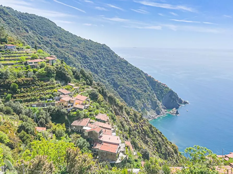 Immagine 31 di Casa colonica in vendita  a La Spezia