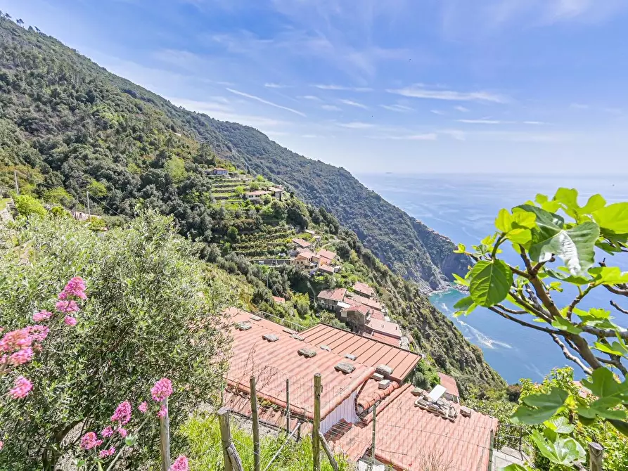 Immagine 32 di Casa colonica in vendita  a La Spezia
