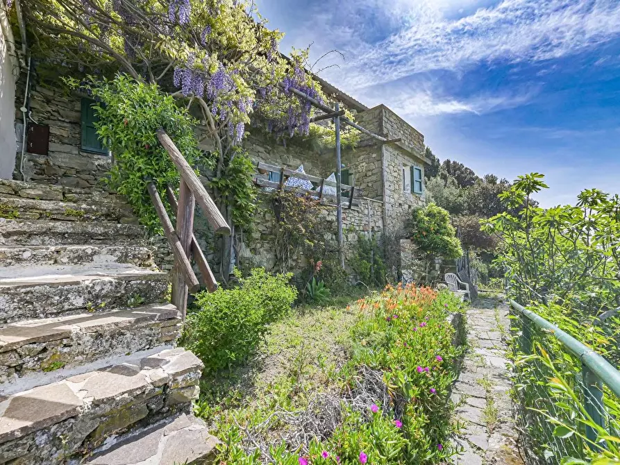 Immagine 22 di Casa colonica in vendita  a La Spezia