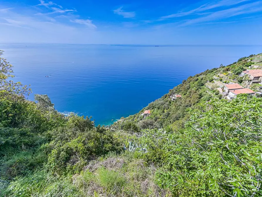 Immagine 18 di Casa colonica in vendita  a La Spezia