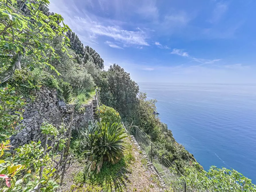 Immagine 29 di Casa colonica in vendita  a La Spezia