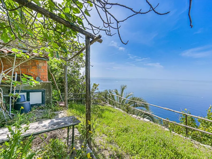 Immagine 27 di Casa colonica in vendita  a La Spezia