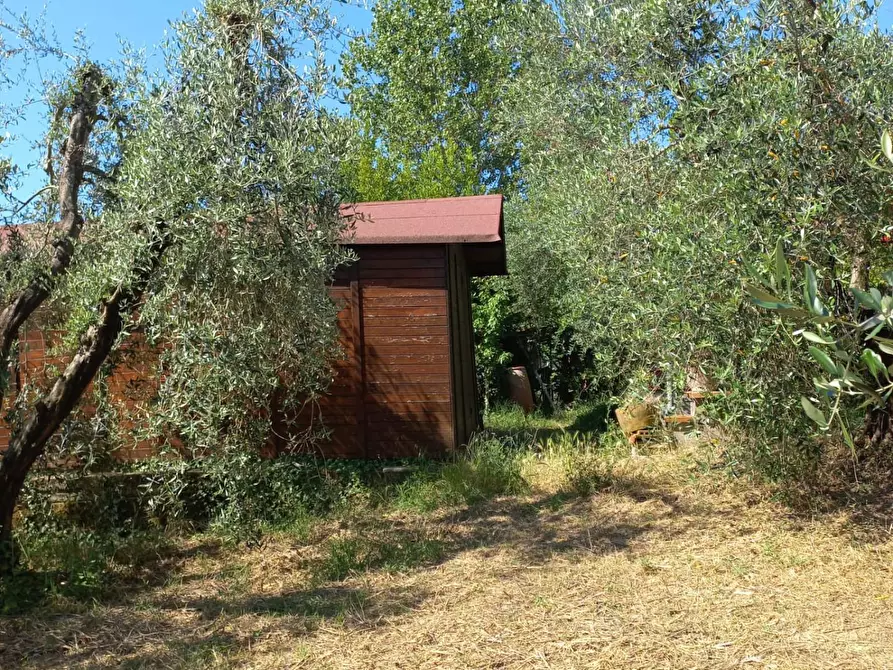 Immagine 11 di Terreno agricolo in vendita  a Peccioli