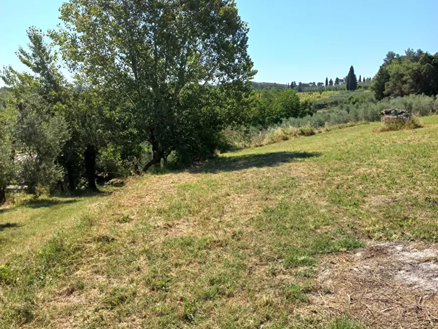 Immagine 12 di Terreno agricolo in vendita  a Peccioli