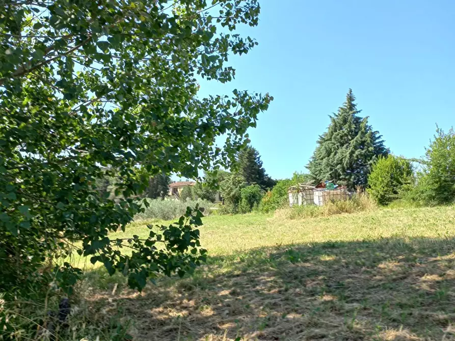 Immagine 14 di Terreno agricolo in vendita  a Peccioli