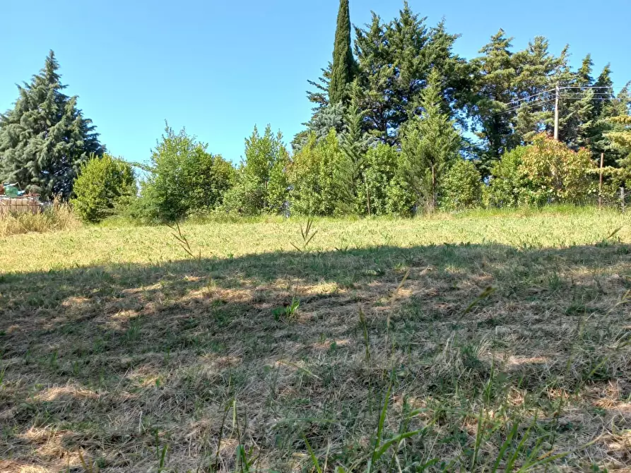 Immagine 8 di Terreno agricolo in vendita  a Peccioli