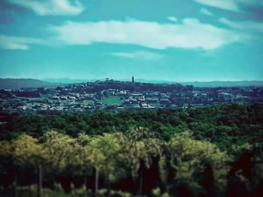 Immagine 2 di Terreno agricolo in vendita  a Peccioli
