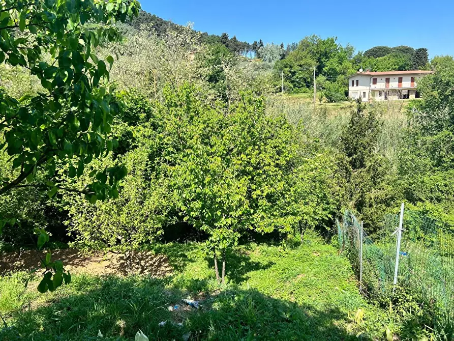 Immagine 30 di Terratetto in vendita  a Capannori