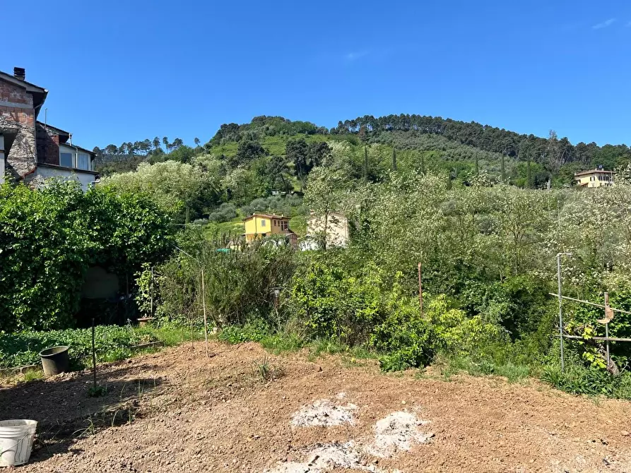 Immagine 53 di Terratetto in vendita  a Capannori