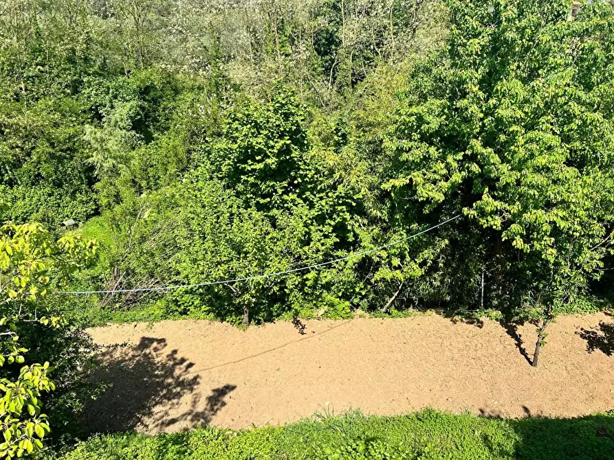 Immagine 55 di Terratetto in vendita  a Capannori