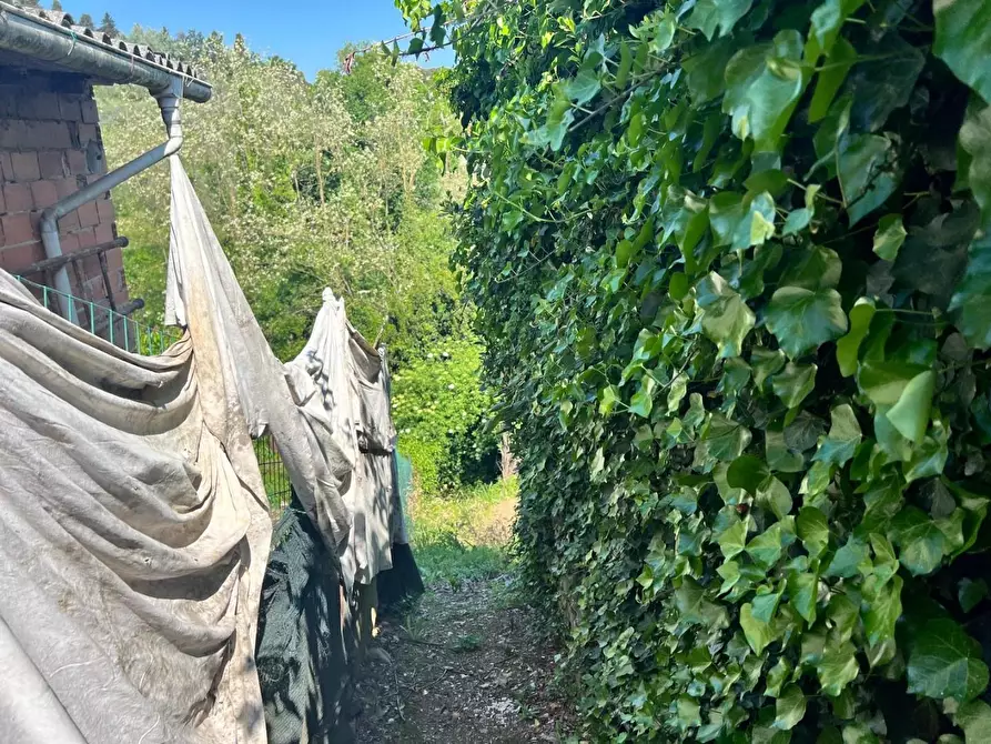 Immagine 26 di Terratetto in vendita  a Capannori