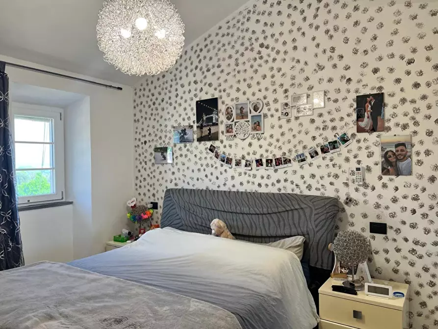 Immagine 39 di Terratetto in vendita  a Capannori