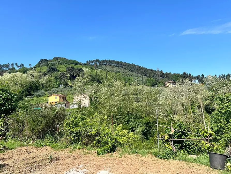 Immagine 54 di Terratetto in vendita  a Capannori