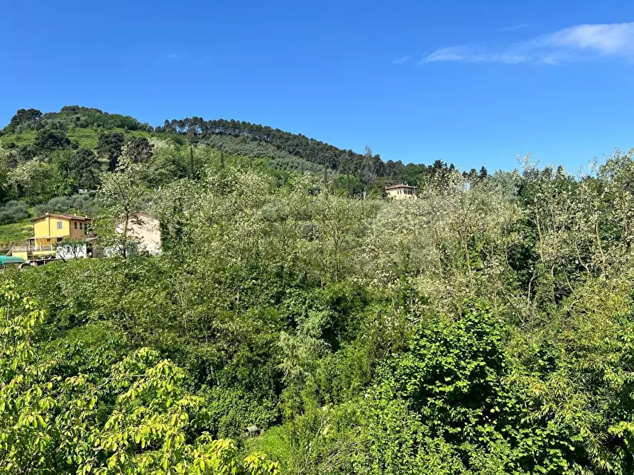 Immagine 56 di Terratetto in vendita  a Capannori