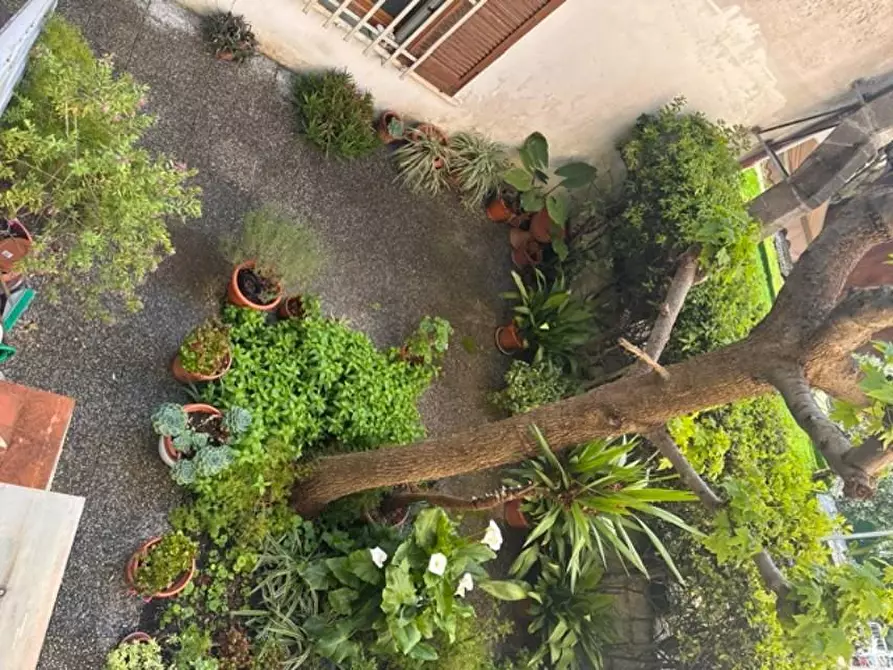 Immagine 17 di Appartamento in vendita  a Calcinaia