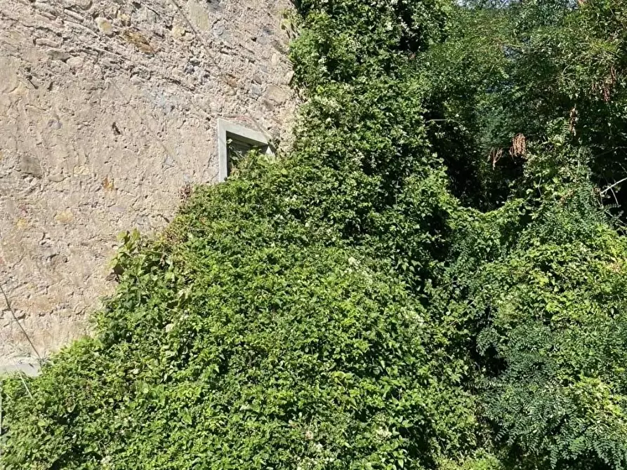 Immagine 4 di Casa indipendente in vendita  a Capannori