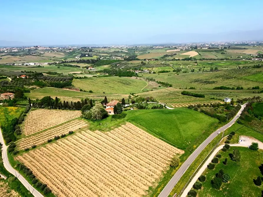 Immagine 3 di Deposito in vendita  a Vinci
