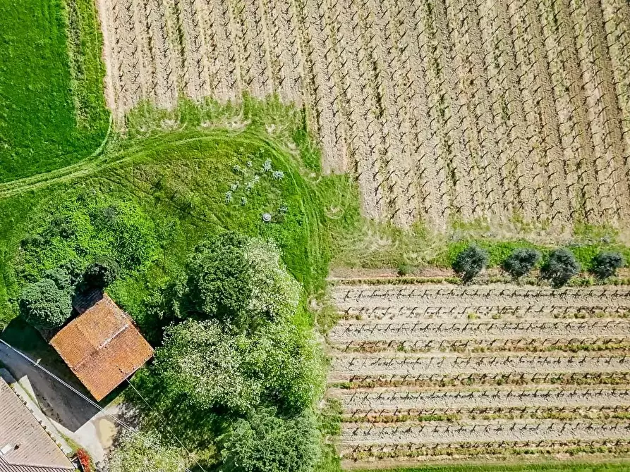 Immagine 1 di Deposito in vendita  a Vinci