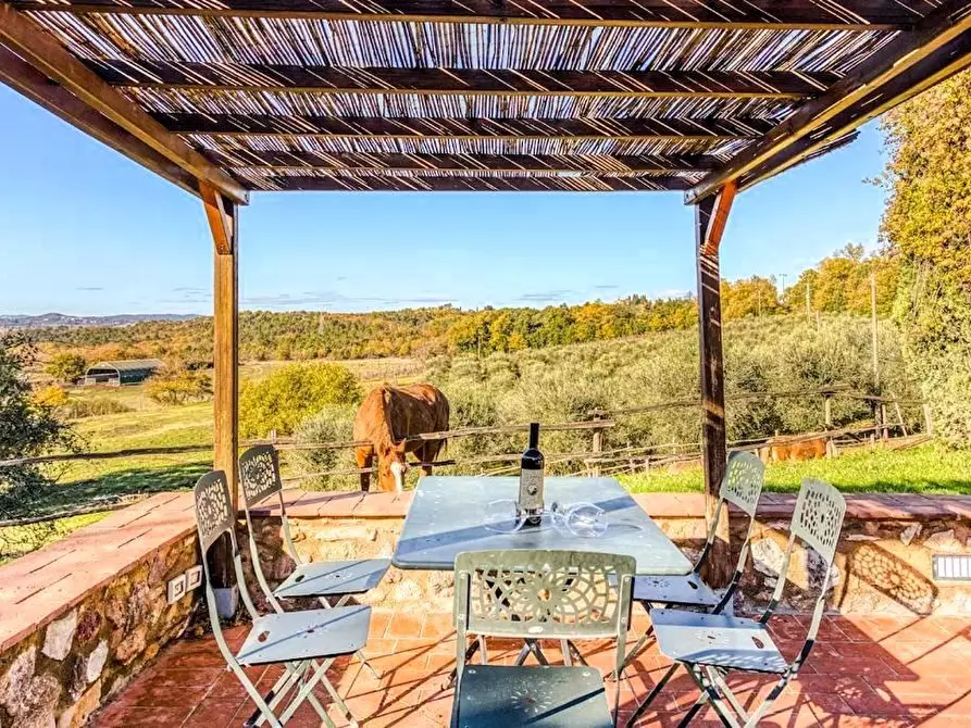 Immagine 14 di Casa colonica in vendita  a Colle Di Val D'elsa