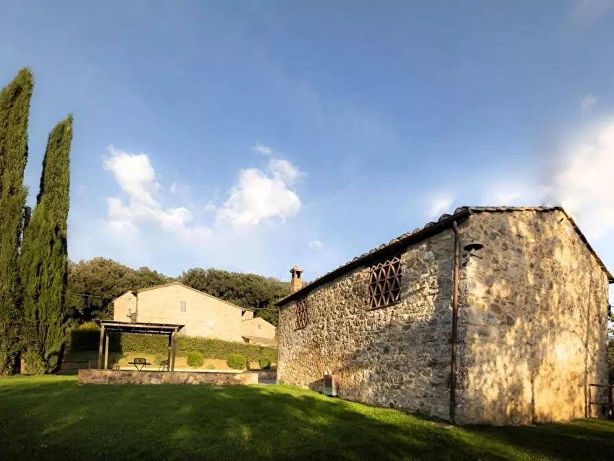 Immagine 11 di Casa colonica in vendita  a Colle Di Val D'elsa