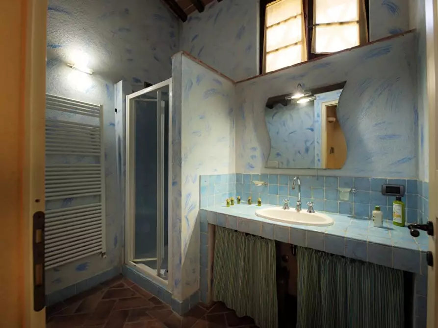 Immagine 39 di Casa colonica in vendita  a Colle Di Val D'elsa