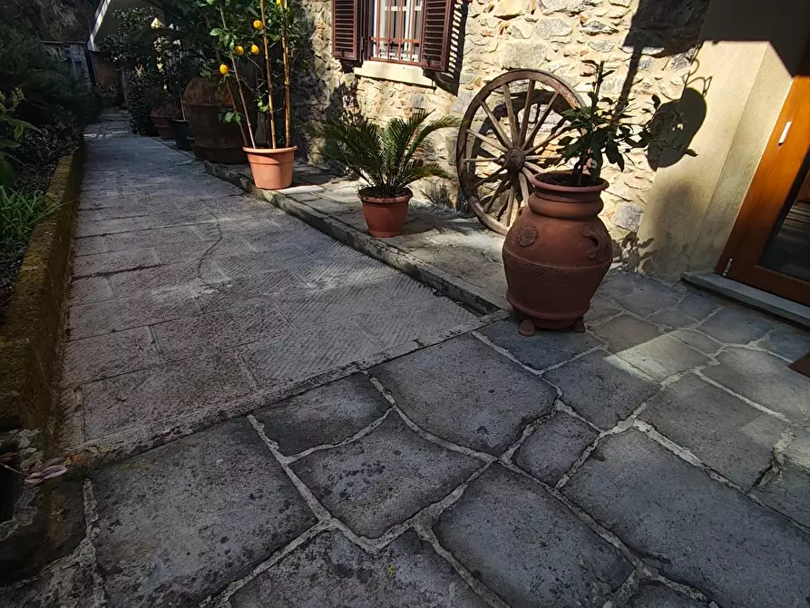 Immagine 6 di Villa in vendita  a Massarosa