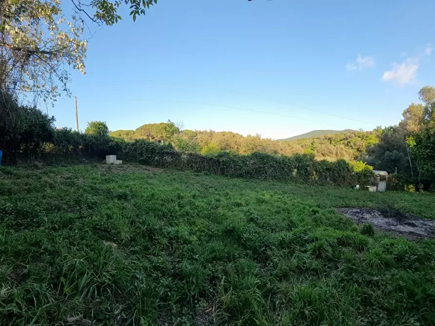 Immagine 5 di Terreno agricolo in vendita  a Livorno