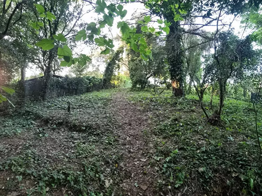 Immagine 24 di Terreno agricolo in vendita  a Livorno