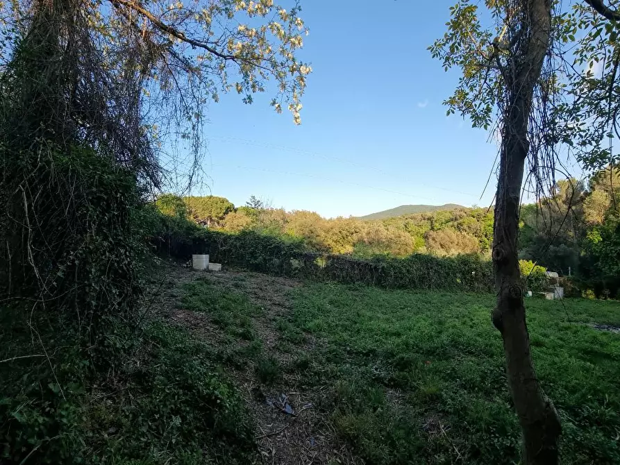 Immagine 1 di Terreno agricolo in vendita  a Livorno
