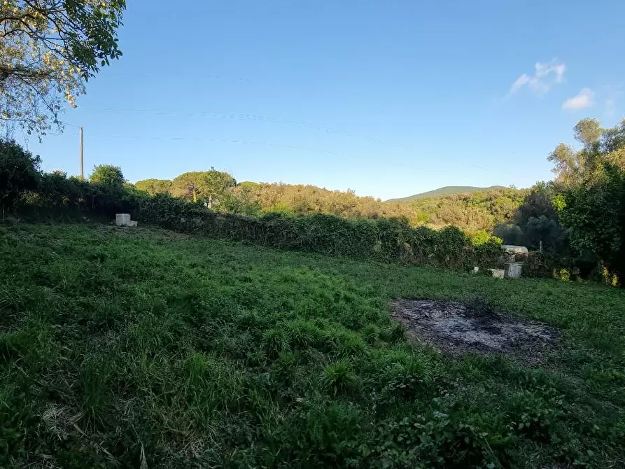 Immagine 8 di Terreno agricolo in vendita  a Livorno