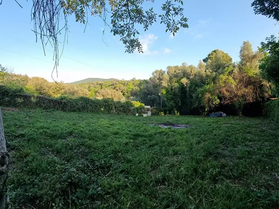 Immagine 2 di Terreno agricolo in vendita  a Livorno