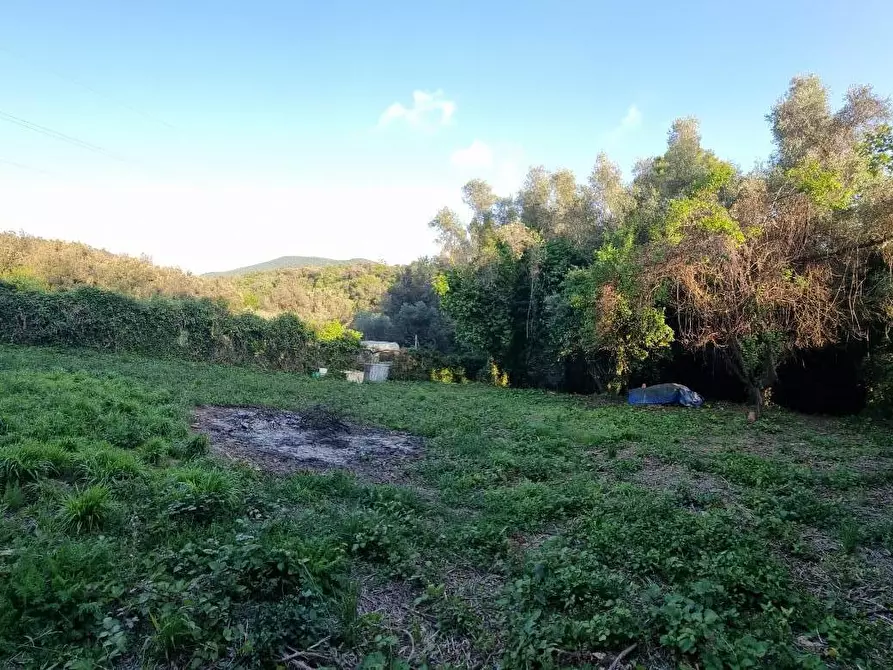 Immagine 7 di Terreno agricolo in vendita  a Livorno
