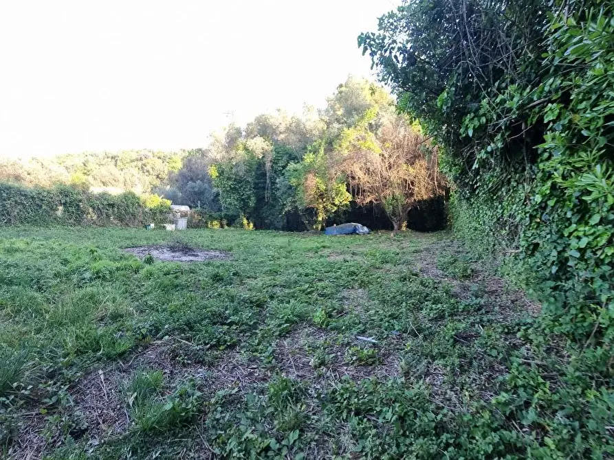 Immagine 4 di Terreno agricolo in vendita  a Livorno