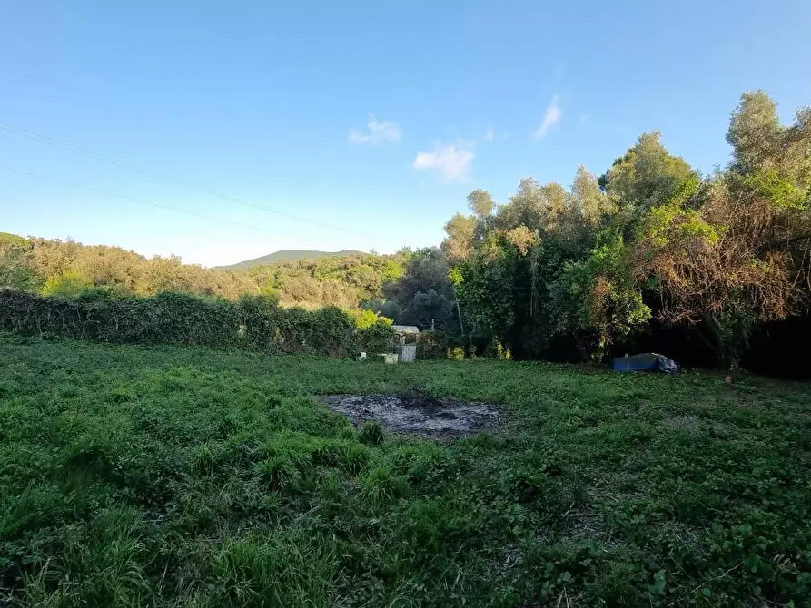Immagine 6 di Terreno agricolo in vendita  a Livorno