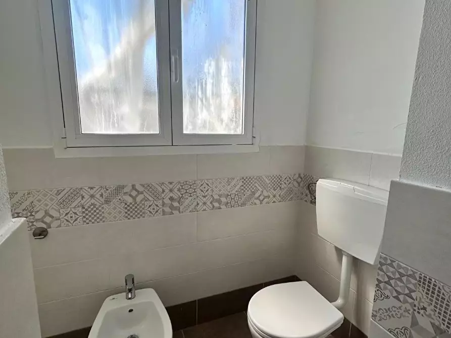 Immagine 14 di Villa in affitto  a Pisa