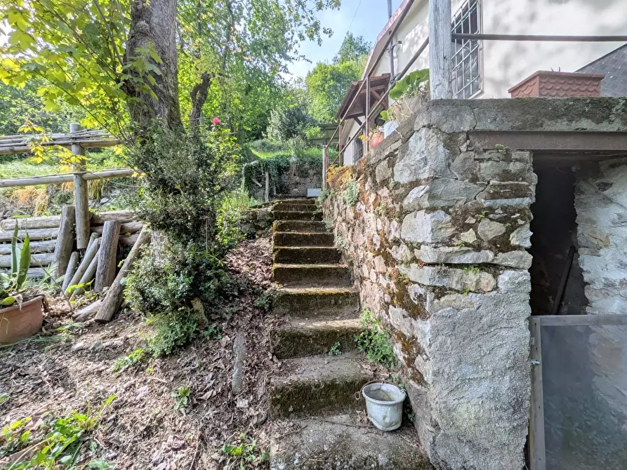 Immagine 22 di Casa indipendente in vendita  a Barga