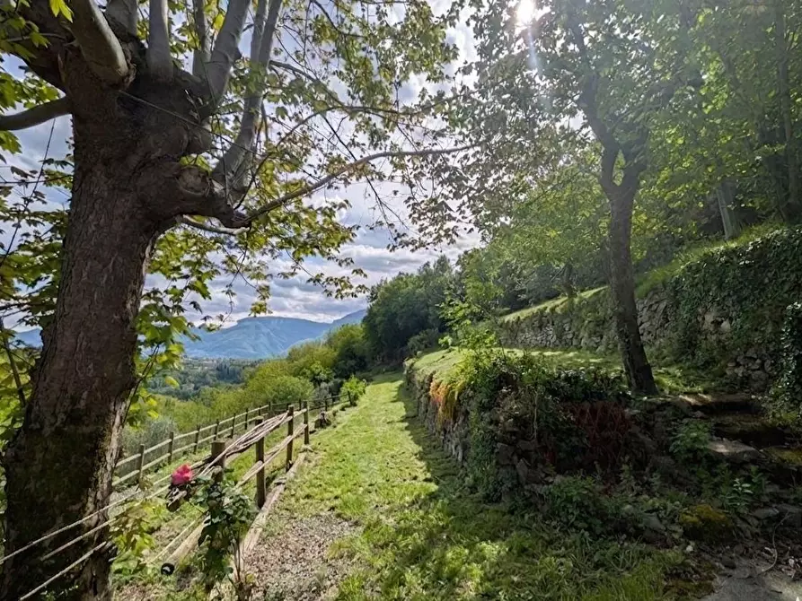 Immagine 17 di Casa indipendente in vendita  a Barga