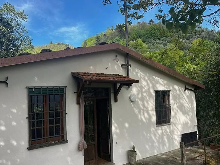Immagine 3 di Casa indipendente in vendita  a Barga