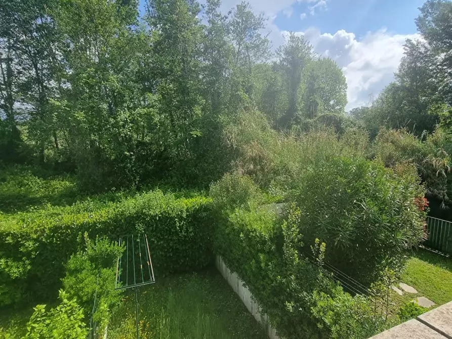 Immagine 8 di Appartamento in vendita  a Massa