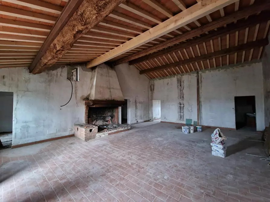 Immagine 5 di Casa colonica in vendita  a Fauglia