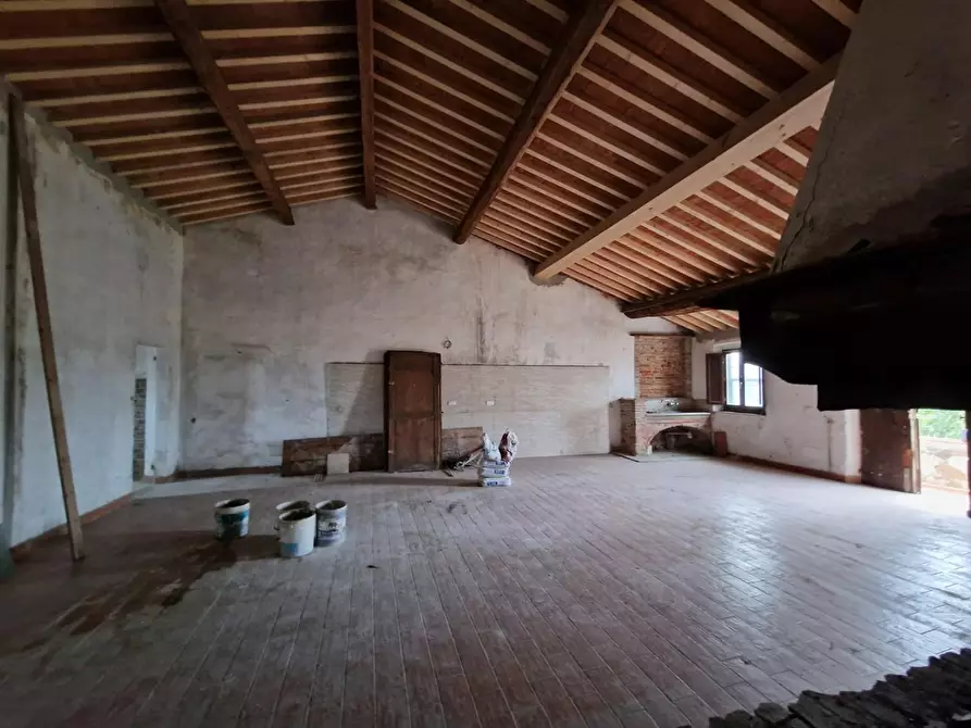 Immagine 19 di Casa colonica in vendita  a Fauglia