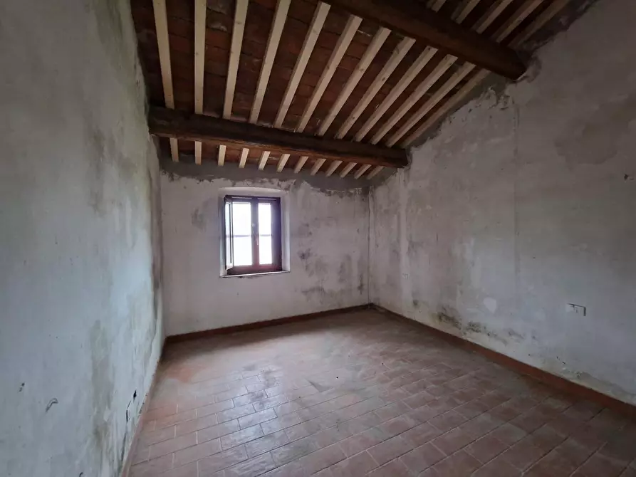 Immagine 12 di Casa colonica in vendita  a Fauglia