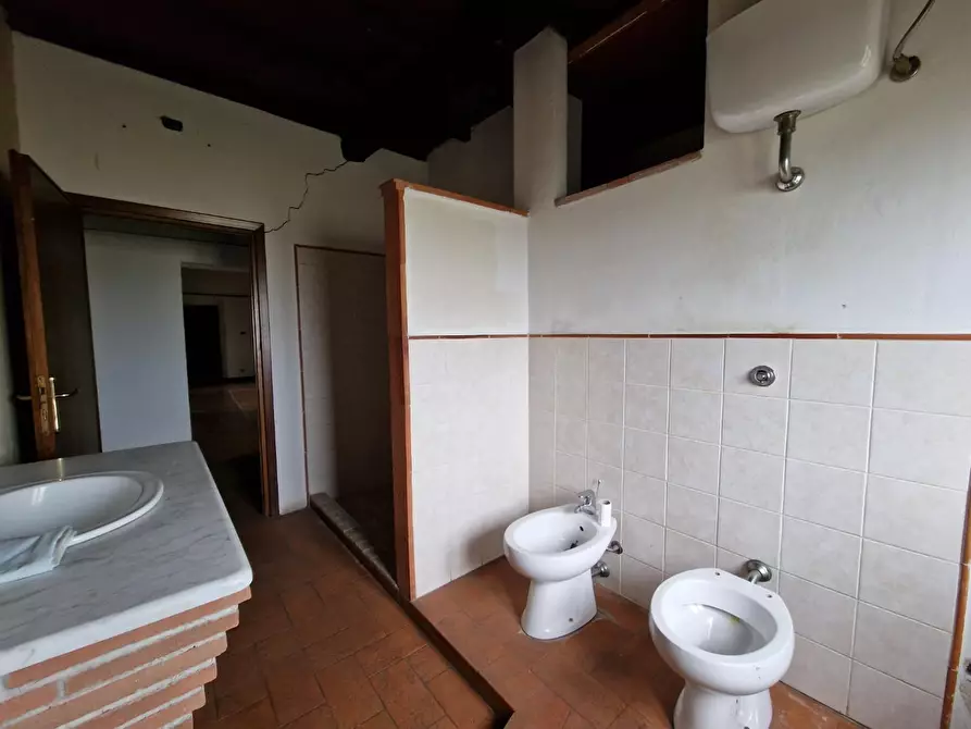 Immagine 34 di Casa colonica in vendita  a Fauglia