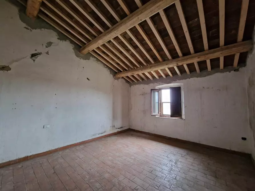 Immagine 17 di Casa colonica in vendita  a Fauglia