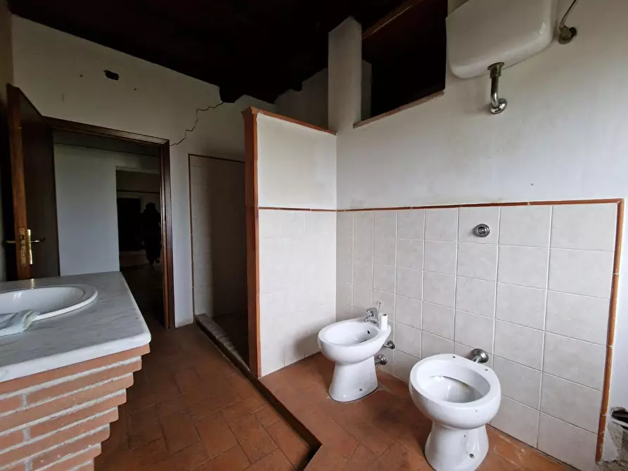 Immagine 35 di Casa colonica in vendita  a Fauglia