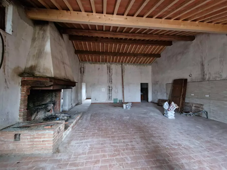 Immagine 4 di Casa colonica in vendita  a Fauglia
