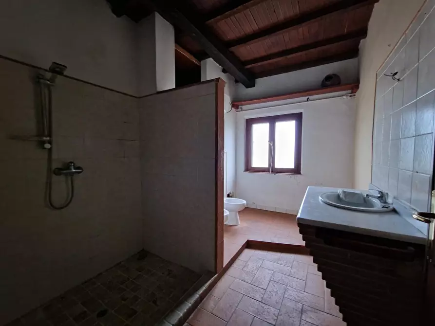 Immagine 33 di Casa colonica in vendita  a Fauglia